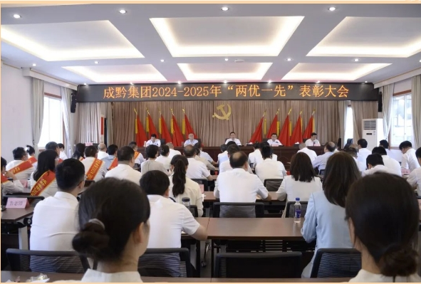 成黔集团召开“两优一先”表彰大会