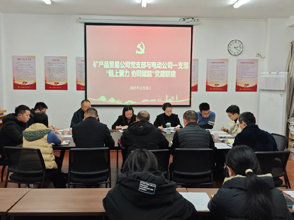 矿产品贸易公司党支部与电动公司一支部开展党建联建活动